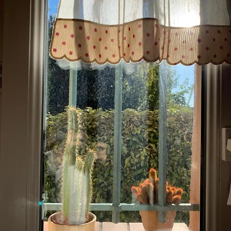 2-bedroom House With Pool & Garden *